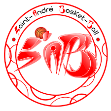 SAINT ANDRE BASKET BALL - 2